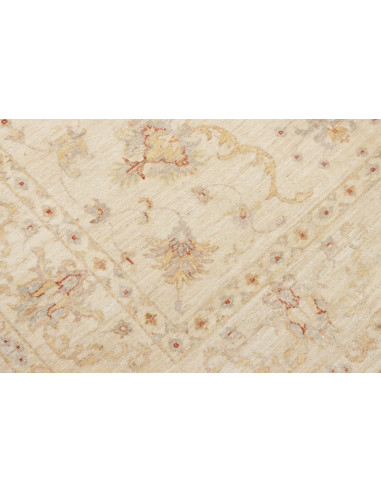 Tappeto Zigler Pakistan cm.166x250