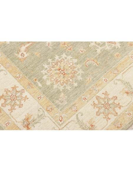 Tappeto Zigler Pakistan cm.168x244