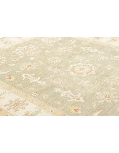 Tappeto Zigler Pakistan cm.168x244