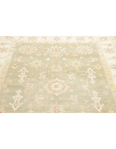 Tappeto Zigler Pakistan cm.168x244