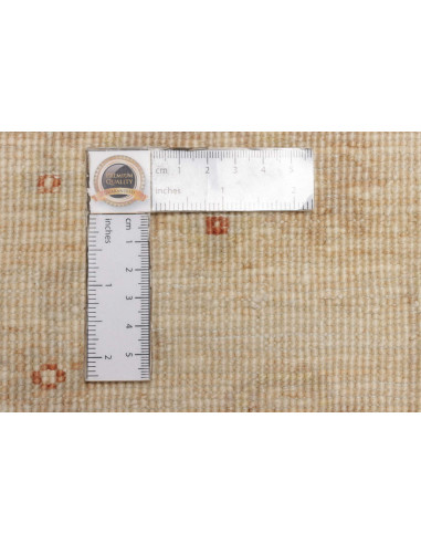 Tappeto Zigler Pakistan cm.168x244