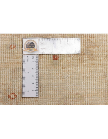 Tappeto Zigler Pakistan cm.168x244