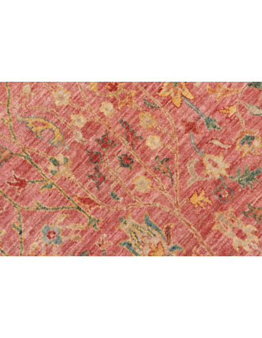 Tappeto Shahi Fine Pakistan cm.171x257