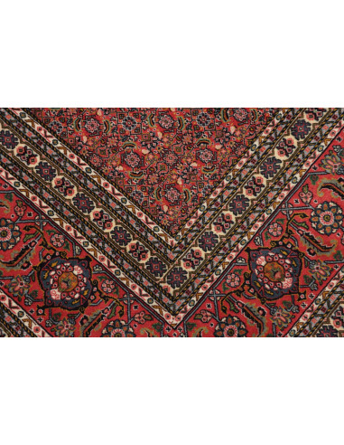 Tappeto Sarab Fine Persia cm.265x370