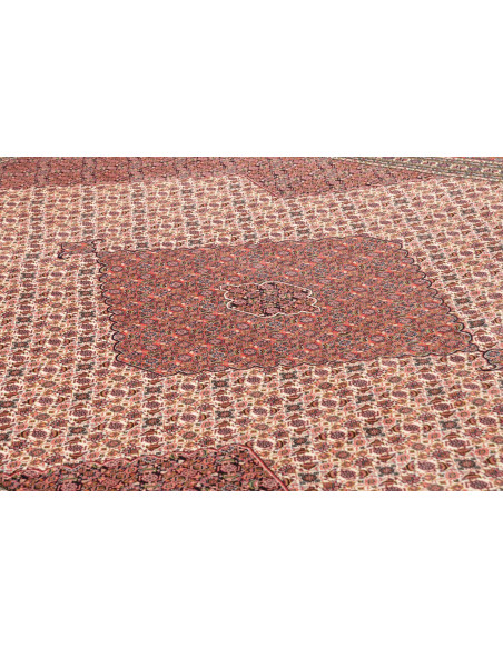 Tappeto Sarab Fine Persia cm.265x370