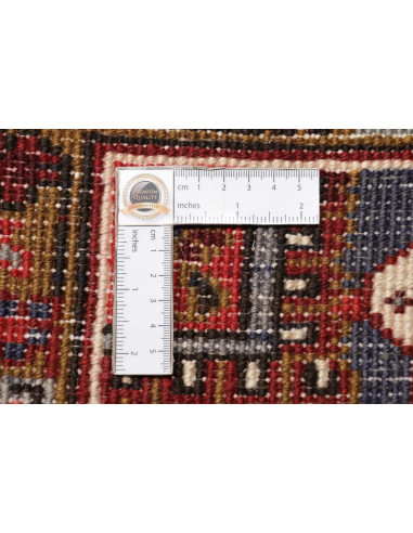 Tappeto Gorawan Persia cm.253x340