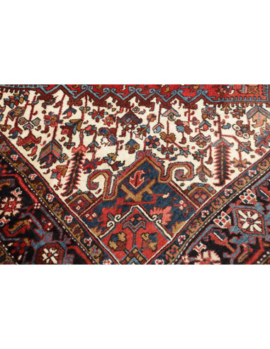 Tappeto Gorawan Persia cm.240x310