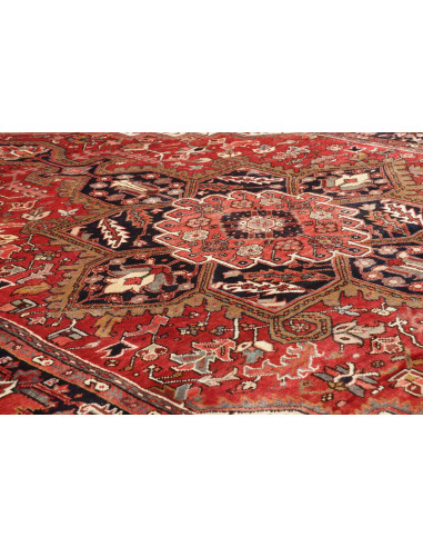 Tappeto Gorawan Persia cm.238x340