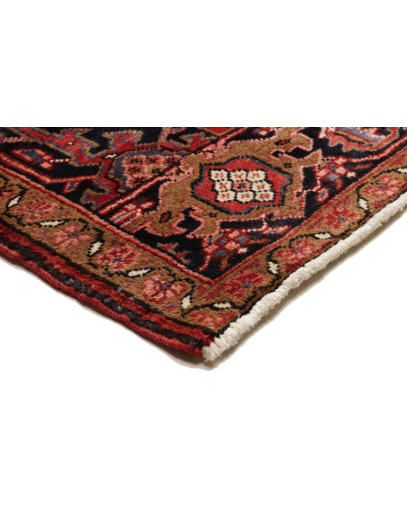 Tappeto Gorawan Persia cm.266x338