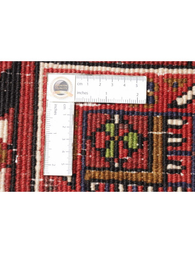 Tappeto Gorawan Persia cm.205x285