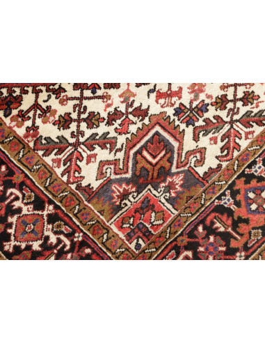 Tappeto Gorawan Persia cm.214x294
