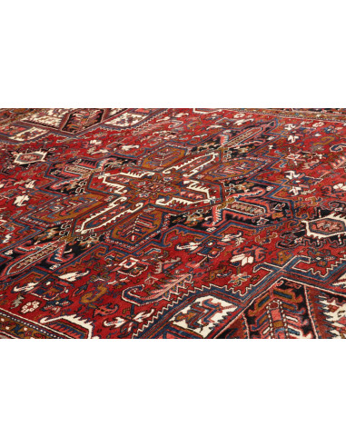 Tappeto Gorawan Persia cm.260x334