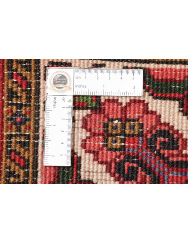 Tappeto Gorawan Persia cm.250x340