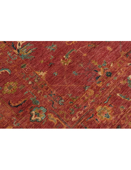 Tappeto Zigler Pakistan cm.247x345