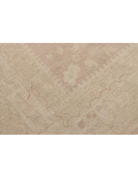 Tappeto Zigler Pakistan cm.265x360