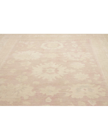 Tappeto Zigler Pakistan cm.265x360