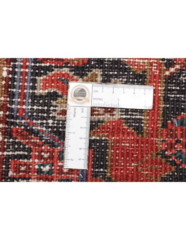 Tappeto Gorawan Persia cm.207x280