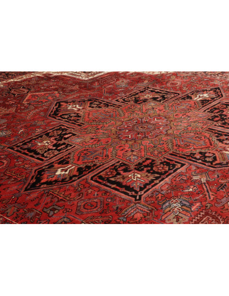 Tappeto Gorawan Persia cm.256x324