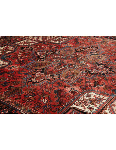 Tappeto Gorawan Persia cm.267x313