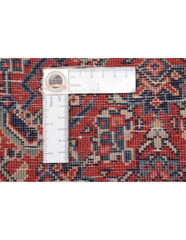 Tappeto Sarough Persia cm.247x350