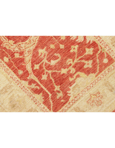 Tappeto Zigler Pakistan cm.78x280