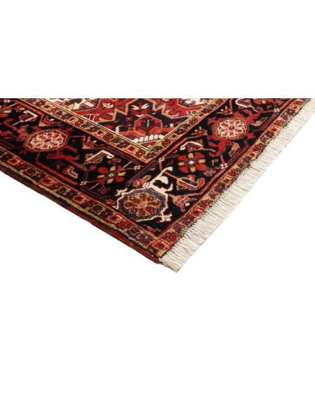 Tappeto Gorawan Persia cm.220x303