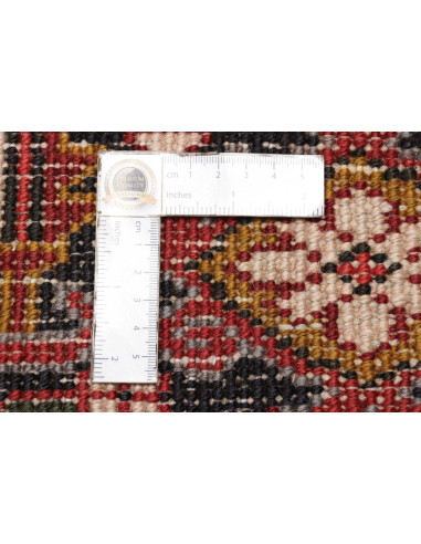 Tappeto Gorawan Persia cm.215x290