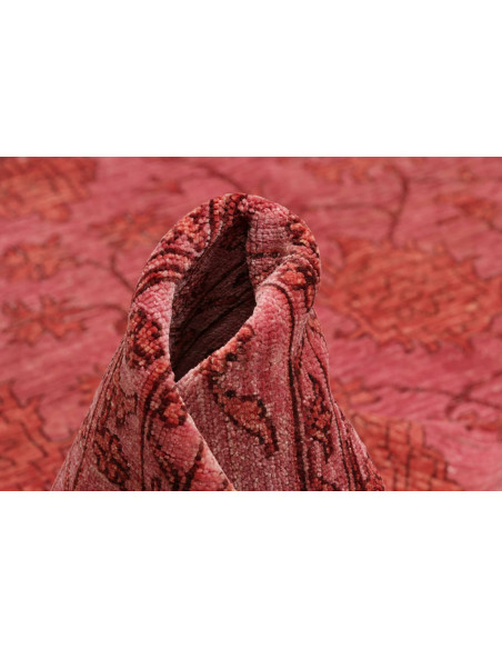 Tappeto Zigler Pakistan cm.249x339