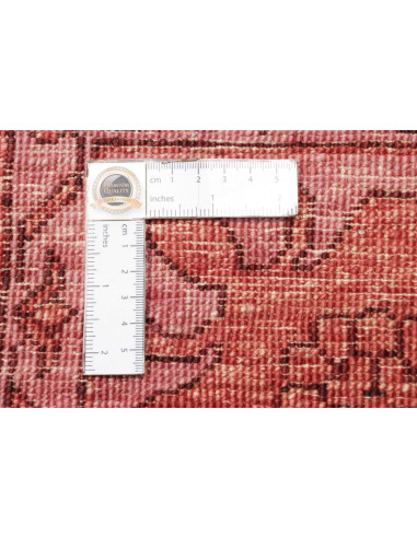 Tappeto Zigler Pakistan cm.249x339