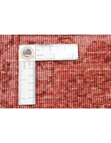 Tappeto Zigler Pakistan cm.251x306