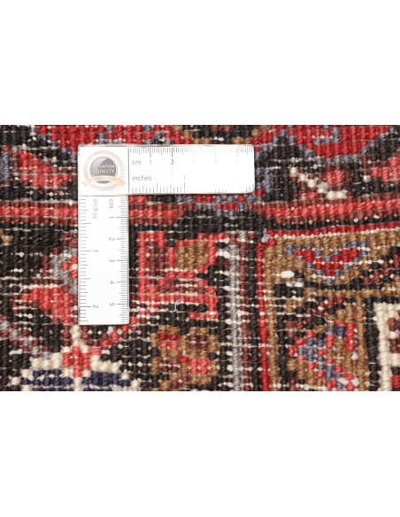 Tappeto Gorawan Persia cm.215x292