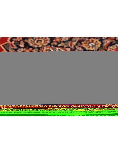 Tappeto Ardakan Persia cm.297x395