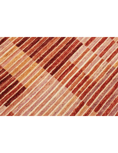 Tappeto Barjeste Pakistan cm.170x244