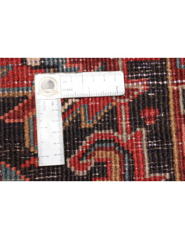 Tappeto Gorawan Persia cm.233x315