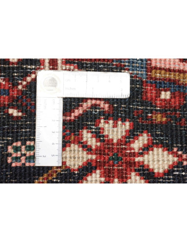 Tappeto Gorawan Persia cm.232x335