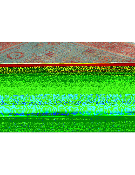 Tappeto Ziegler Mammalucchi Pakistan cm.177x235