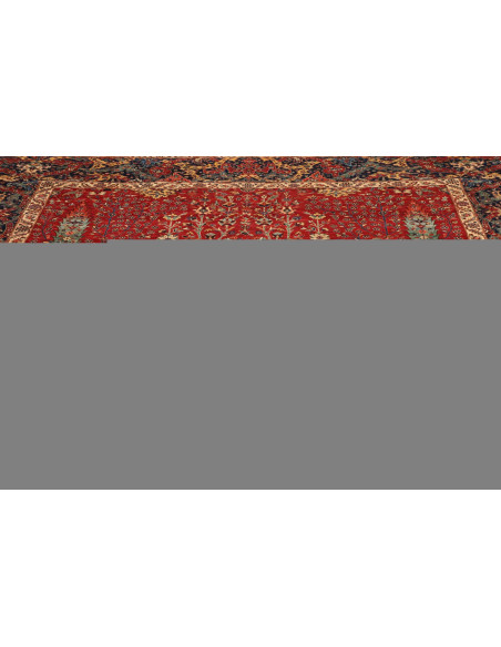 Tappeto Zigler Fine Pakistan cm.269x352