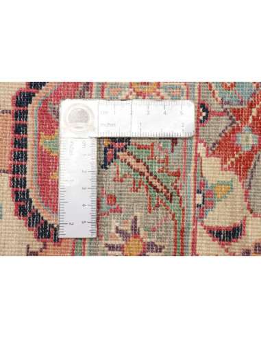 Tappeto Zigler Fine Pakistan cm.250x291