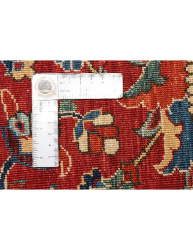 Tappeto Zigler Fine Pakistan cm.269x352