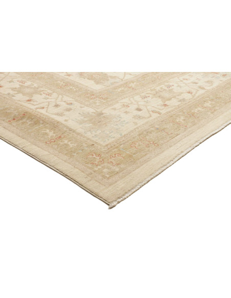 Tappeto Zigler Pakistan cm.249x328