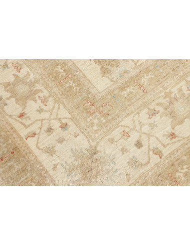 Tappeto Zigler Pakistan cm.249x328