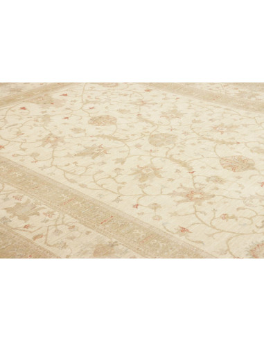 Tappeto Zigler Pakistan cm.249x328