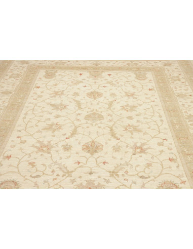 Tappeto Zigler Pakistan cm.249x328