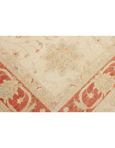 Tappeto Zigler Pakistan cm.247x307