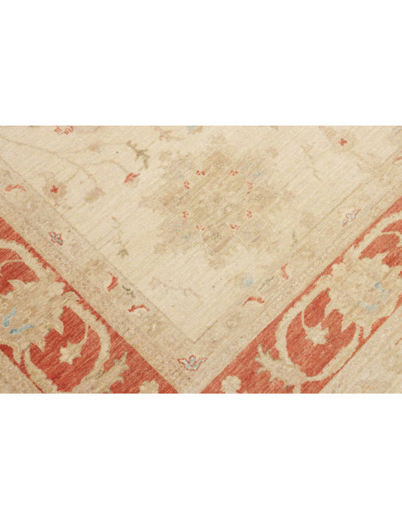 Tappeto Zigler Pakistan cm.247x307