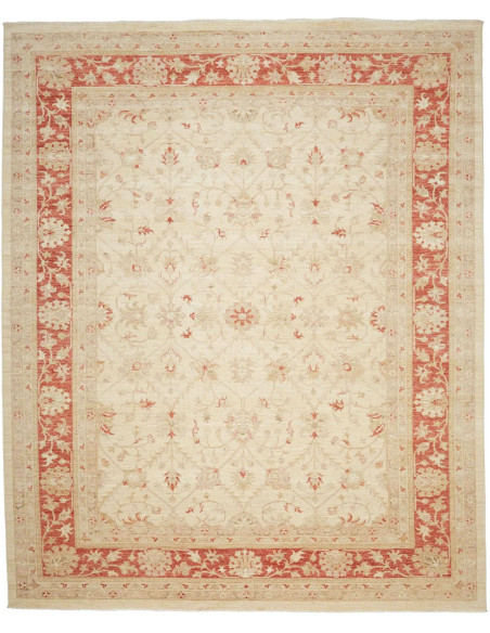 Tappeto Zigler Pakistan cm.246x299