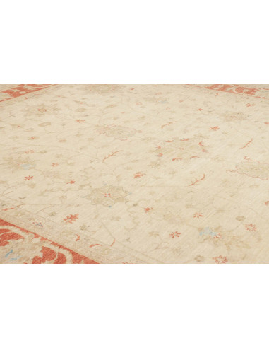 Tappeto Zigler Pakistan cm.247x307