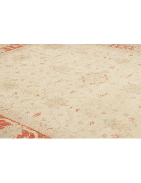 Tappeto Zigler Pakistan cm.247x307