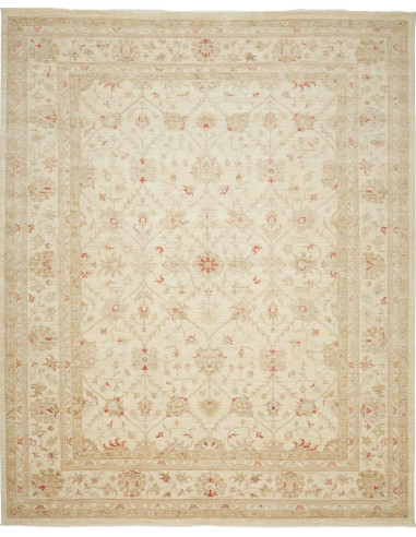 Tappeto Zigler Pakistan cm.245x299