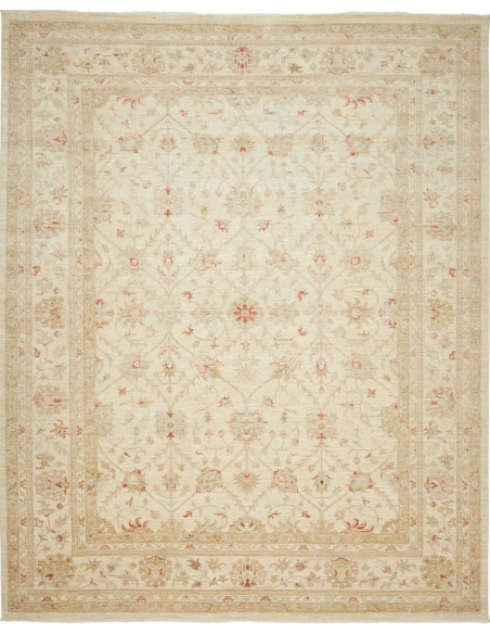 Tappeto Zigler Pakistan cm.245x299